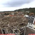 11_50-nest.jpg