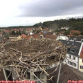 11_55-nest.jpg