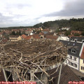 12_05-nest.jpg