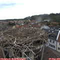 12_25-nest.jpg