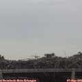 12_30-mast.jpg