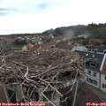 12_30-nest.jpg