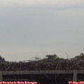 12_35-mast.jpg