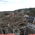 12_35-nest.jpg