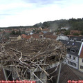 12_45-nest.jpg