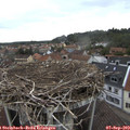 12_50-nest.jpg