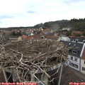 12_55-nest.jpg