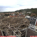 13_00-nest.jpg