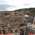 13_05-nest.jpg