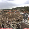 13_10-nest.jpg