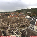 13_15-nest.jpg