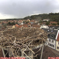 13_20-nest.jpg