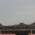 13_25-mast.jpg