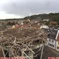 13_25-nest.jpg