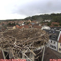 13_30-nest.jpg