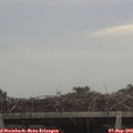 13_35-mast.jpg