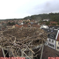 13_35-nest.jpg