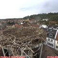 13_40-nest.jpg