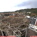 13_45-nest.jpg