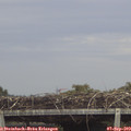 13_55-mast.jpg