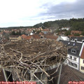 13_55-nest.jpg