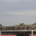 14_00-mast.jpg