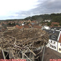 14_00-nest.jpg