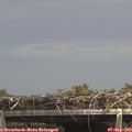 14_05-mast.jpg