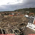14_05-nest.jpg
