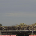 14_10-mast.jpg