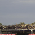 14_20-mast.jpg