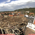 14_20-nest.jpg