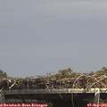 14_25-mast.jpg