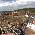 14_25-nest.jpg