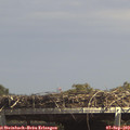 14_30-mast.jpg
