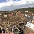 14_30-nest.jpg