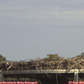 14_35-mast.jpg