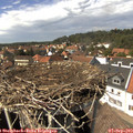 14_35-nest.jpg