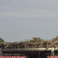 14_40-mast.jpg