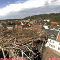 14_40-nest.jpg