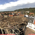 14_45-nest.jpg