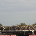 14_55-mast.jpg