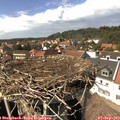 14_55-nest.jpg