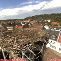 15_00-nest.jpg