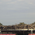 15_05-mast.jpg