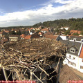 15_05-nest.jpg
