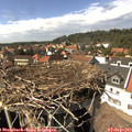 15_10-nest.jpg