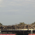 15_15-mast.jpg
