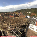 15_15-nest.jpg