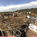 15_20-nest.jpg